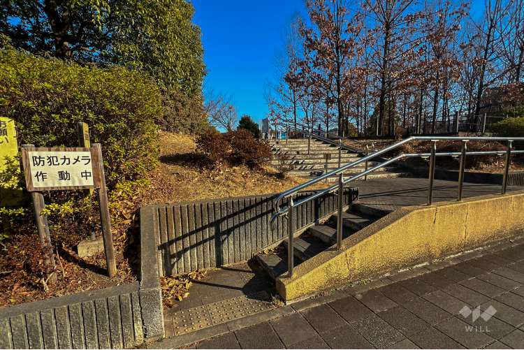大泉橋戸公園の写真