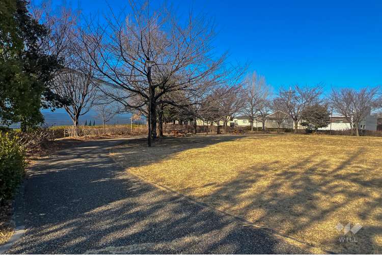 大泉橋戸公園の写真