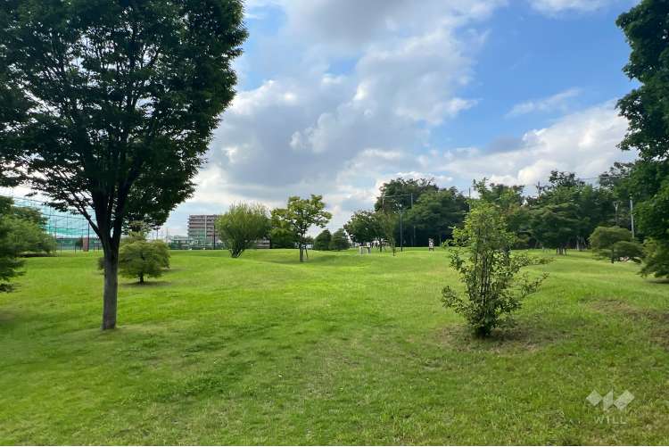 大泉町もみじやま公園の写真