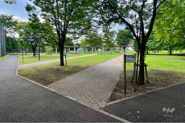 大泉町もみじやま公園の写真