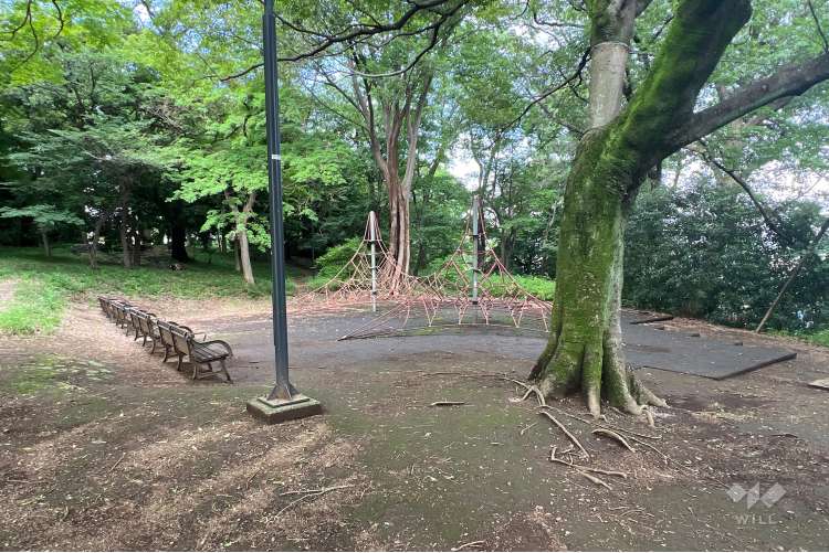 大泉町もみじやま公園の写真