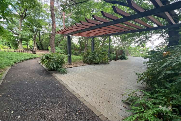大泉町もみじやま公園の写真