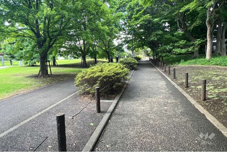 大泉町もみじやま公園の写真