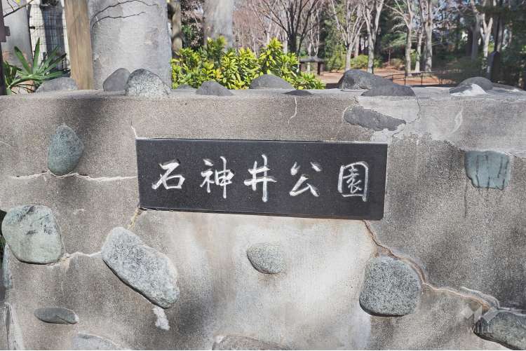 都立石神井公園の写真