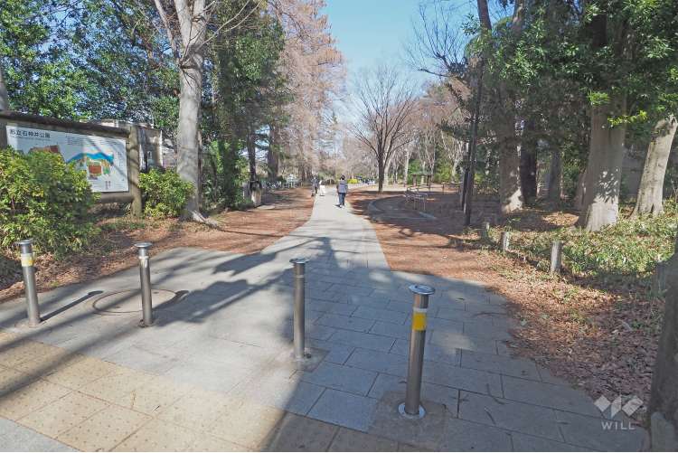 都立石神井公園の写真