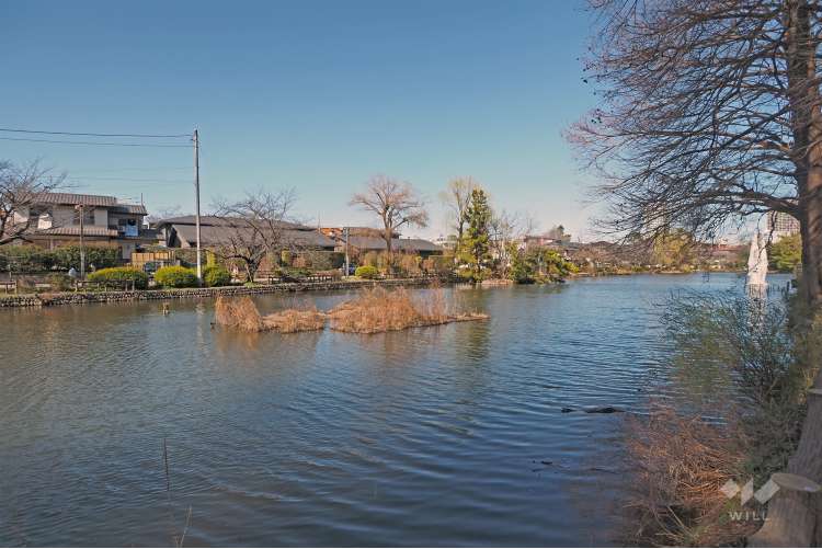 都立石神井公園の写真