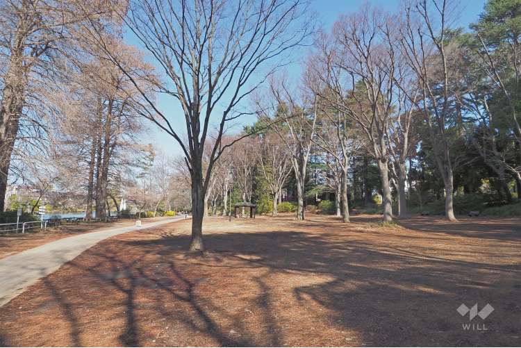 都立石神井公園の写真
