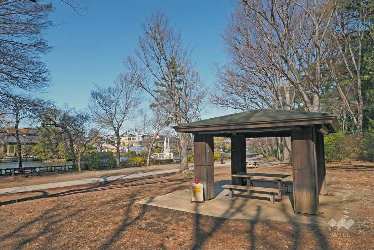 都立石神井公園の写真