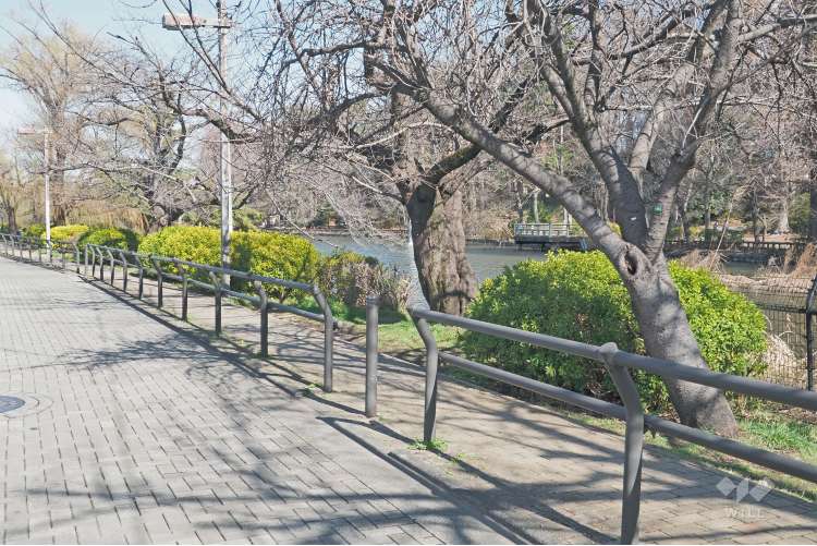 都立石神井公園の写真