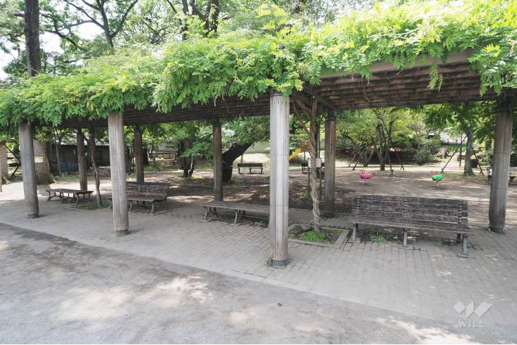 武蔵関公園の写真