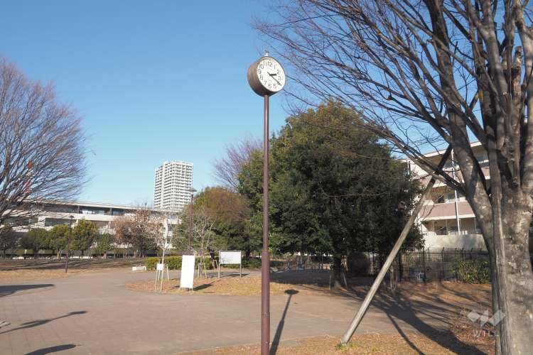 中村かしわ公園の写真