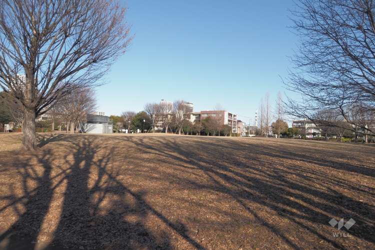 中村かしわ公園の写真