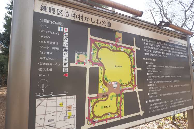 中村かしわ公園の写真