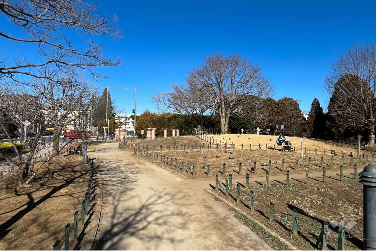 平成つつじ公園の写真