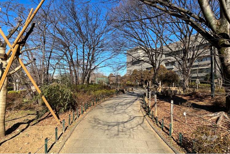 平成つつじ公園の写真