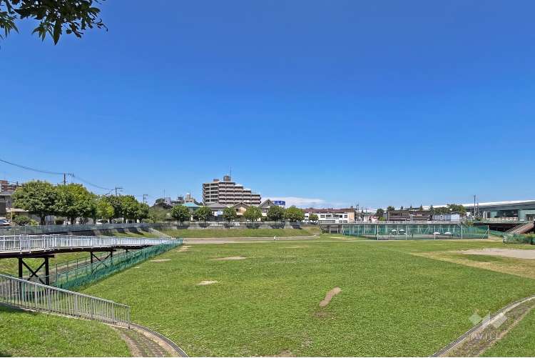 びくに公園の写真