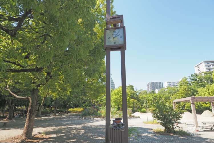 夏の雲公園の写真
