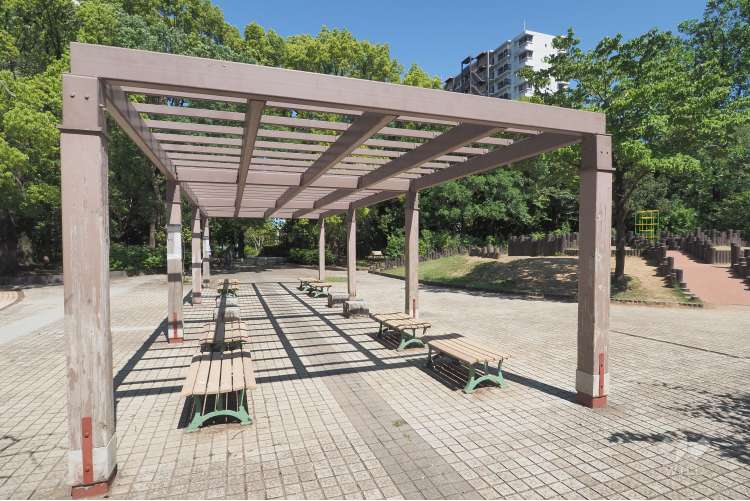 夏の雲公園の写真