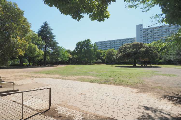 夏の雲公園の写真