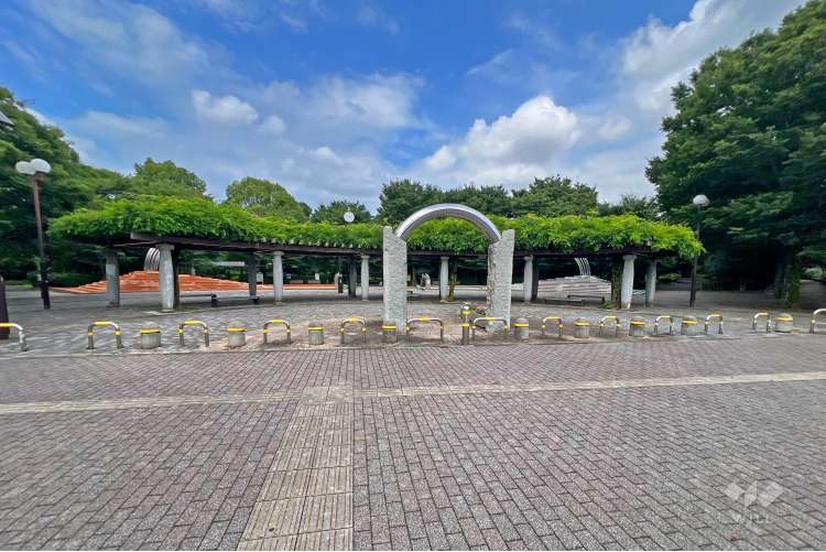 都立大泉中央公園の写真
