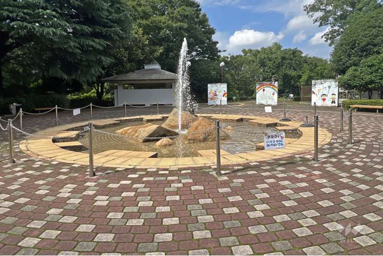 都立大泉中央公園の写真
