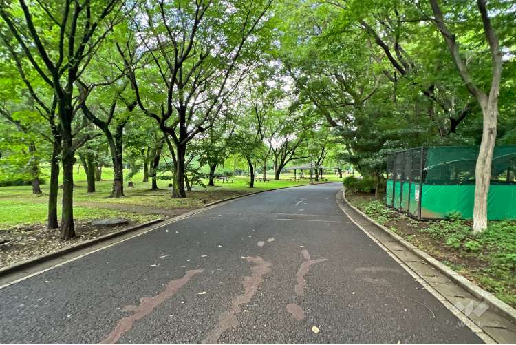 都立大泉中央公園の写真