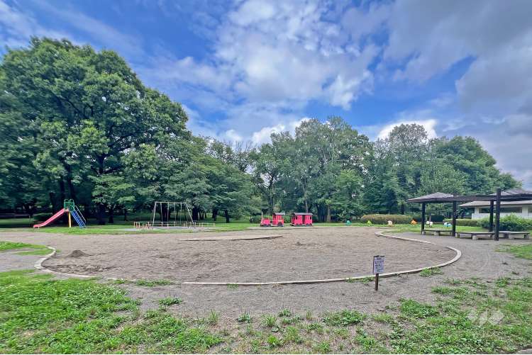 都立大泉中央公園の写真