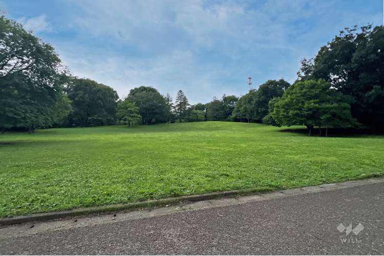 都立大泉中央公園の写真