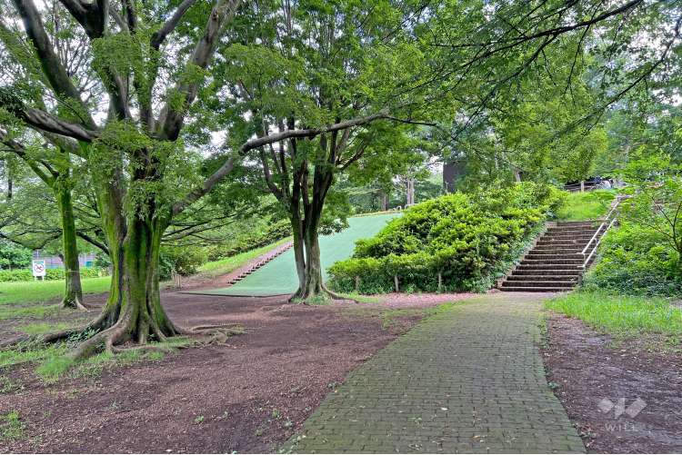 都立大泉中央公園の写真