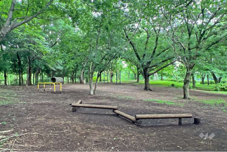 都立大泉中央公園の写真