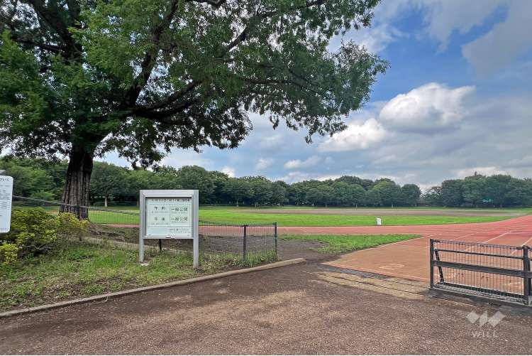 都立大泉中央公園の写真