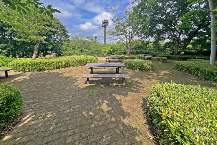 都立大泉中央公園の写真