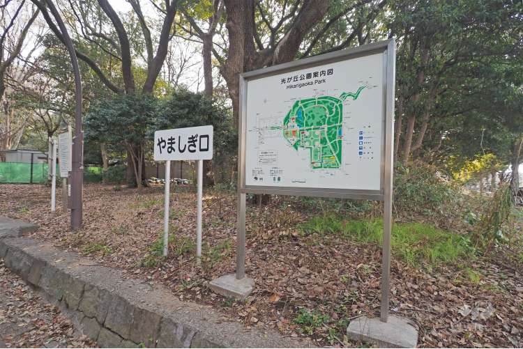 都立光が丘公園の写真