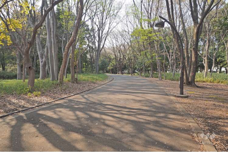都立光が丘公園の写真