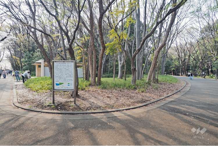 都立光が丘公園の写真
