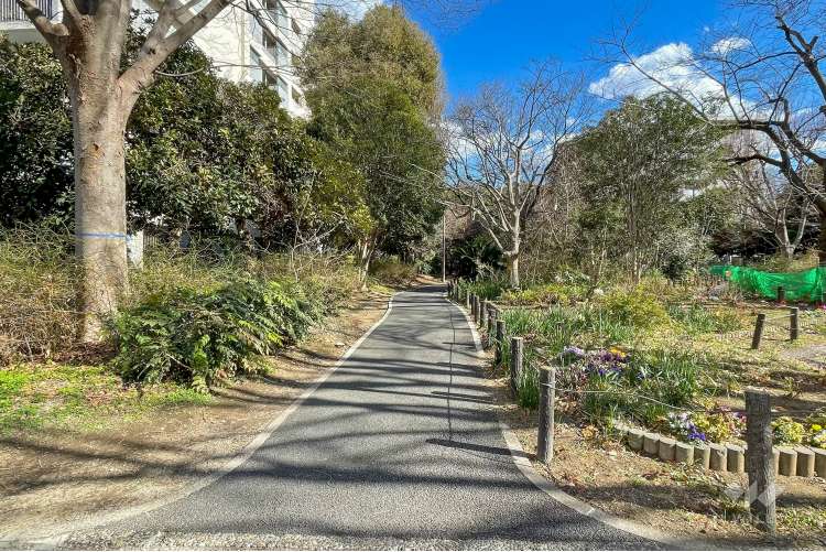 戸山公園（大久保地区）の写真