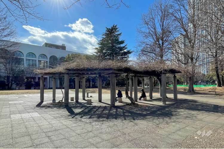 戸山公園（大久保地区）の写真