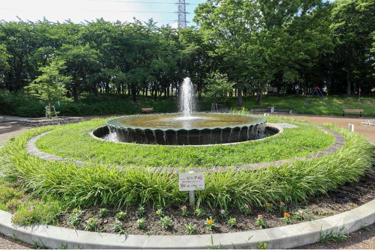 横井山緑地の写真
