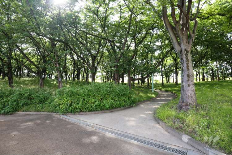 横井山緑地の写真