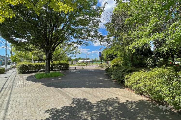 武蔵野中央公園の写真