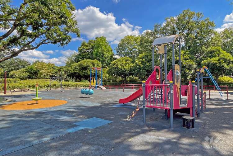武蔵野中央公園の写真