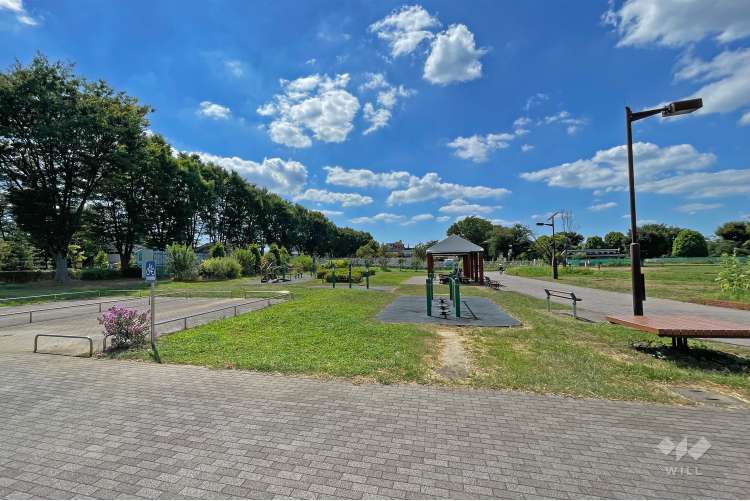 武蔵野中央公園の写真