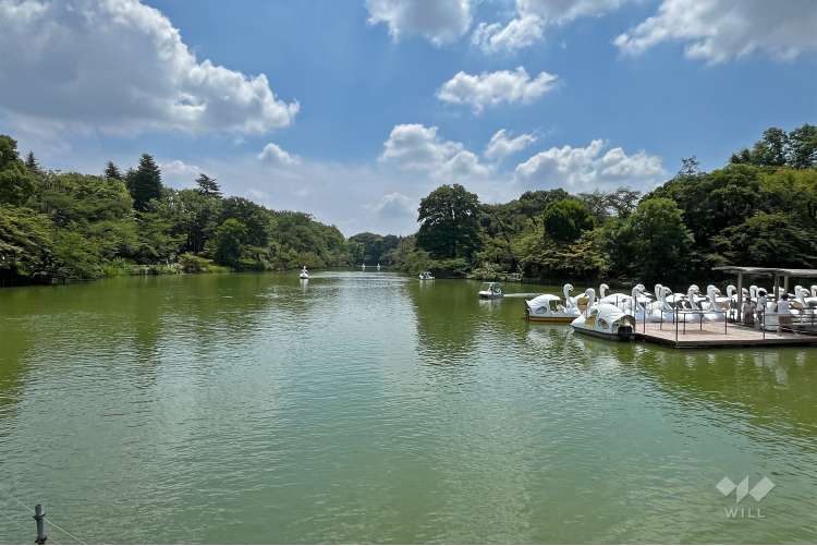 井の頭恩賜公園の写真