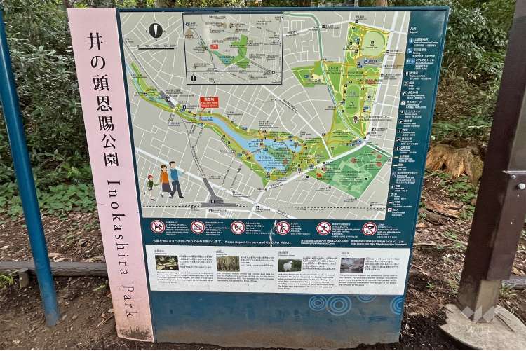 井の頭恩賜公園の写真