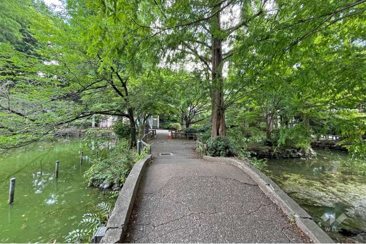 井の頭恩賜公園の写真