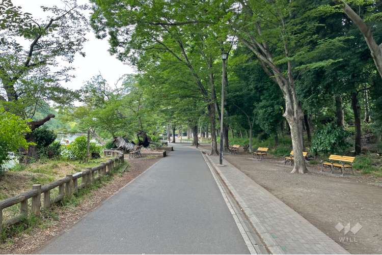 井の頭恩賜公園の写真
