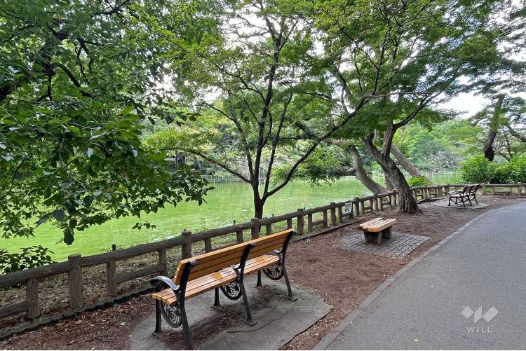 井の頭恩賜公園の写真