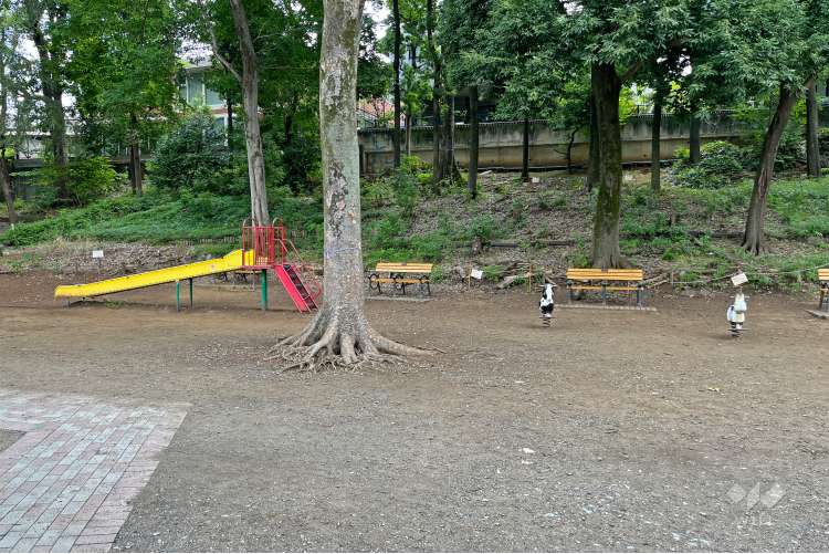 井の頭恩賜公園の写真