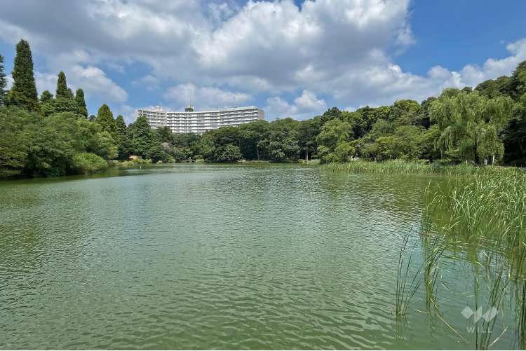 井の頭恩賜公園の写真