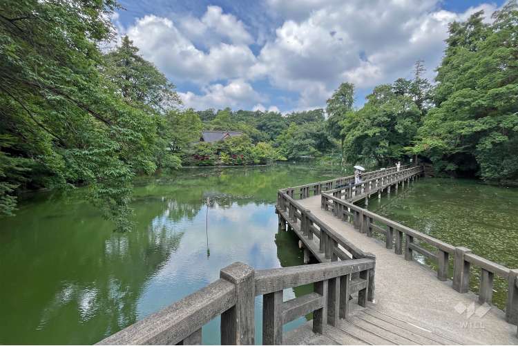 井の頭恩賜公園の写真